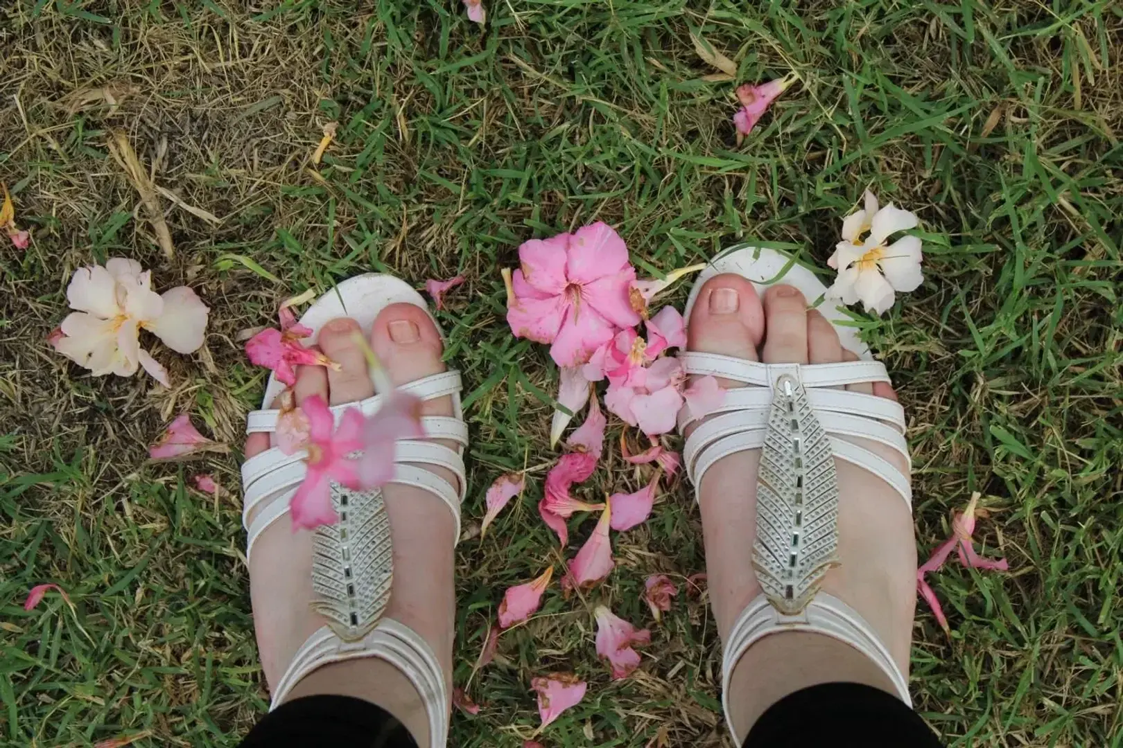 Photo de couverture de lananadu15