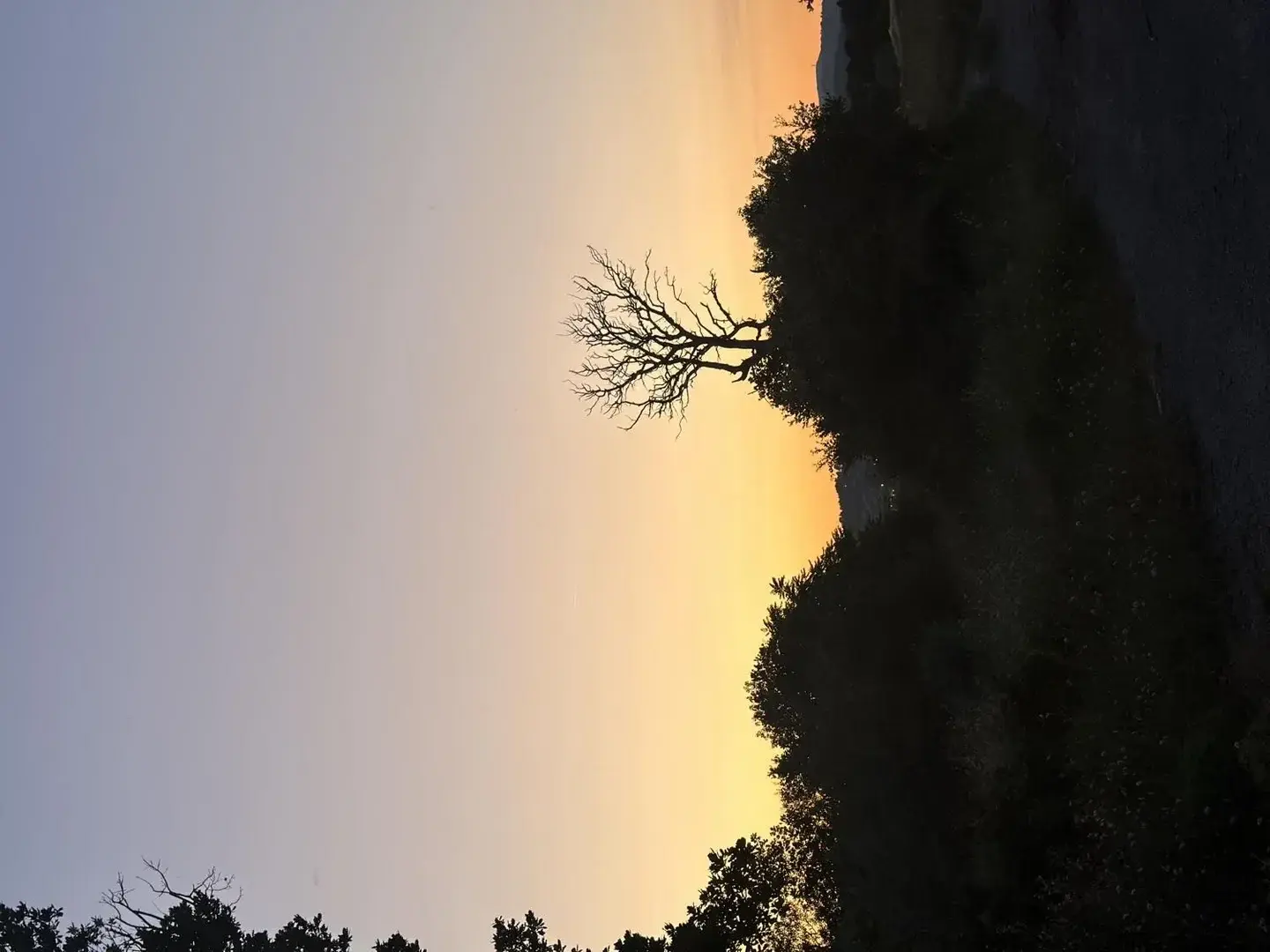 Photo de couverture de Polachoco
