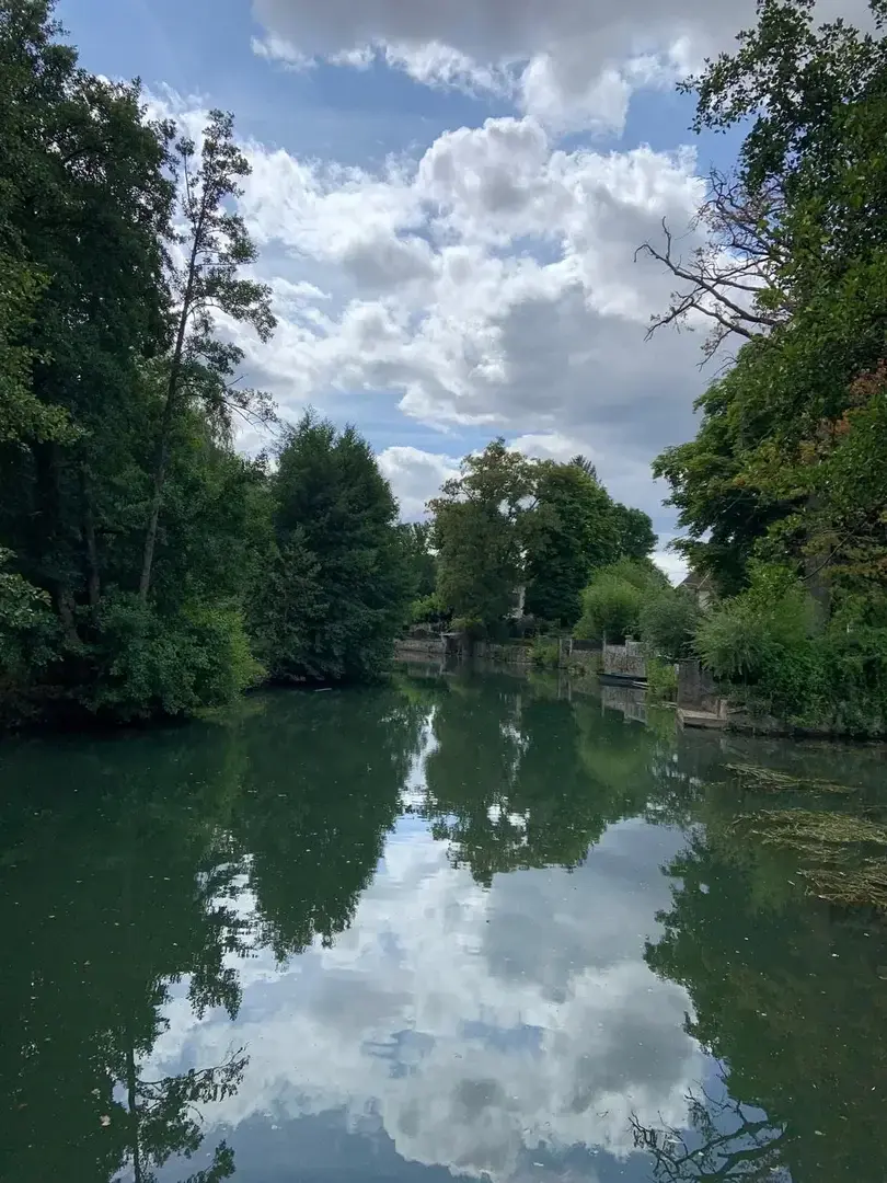 🌿