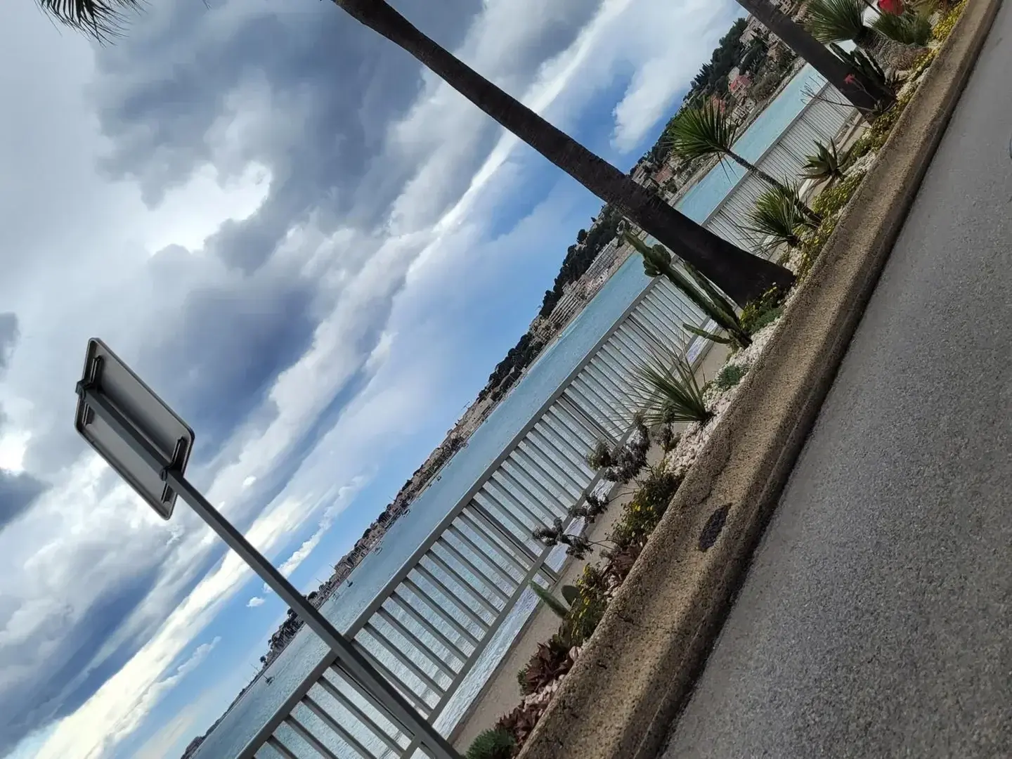 Photo de couverture de taramorgan