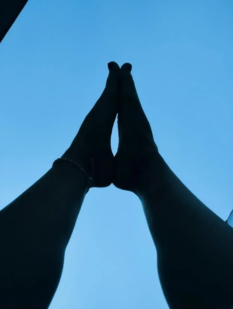#pied #peace