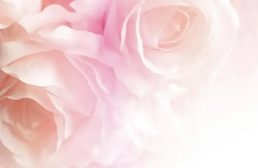Photo de couverture de Chounee2023_feet