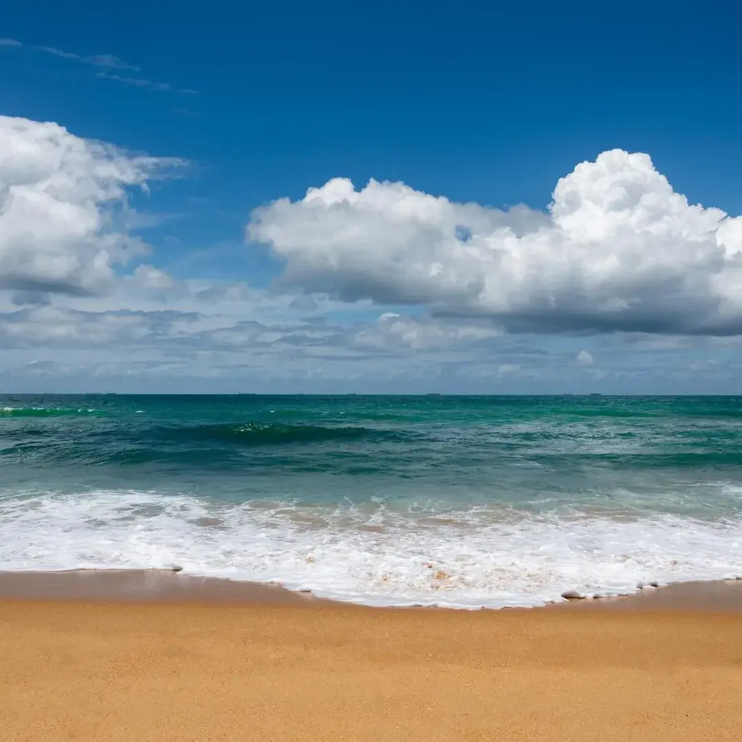 Photo de couverture de Arvos