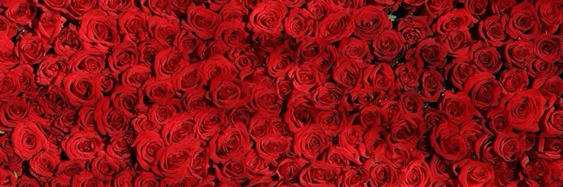 Photo de couverture de Isometrie