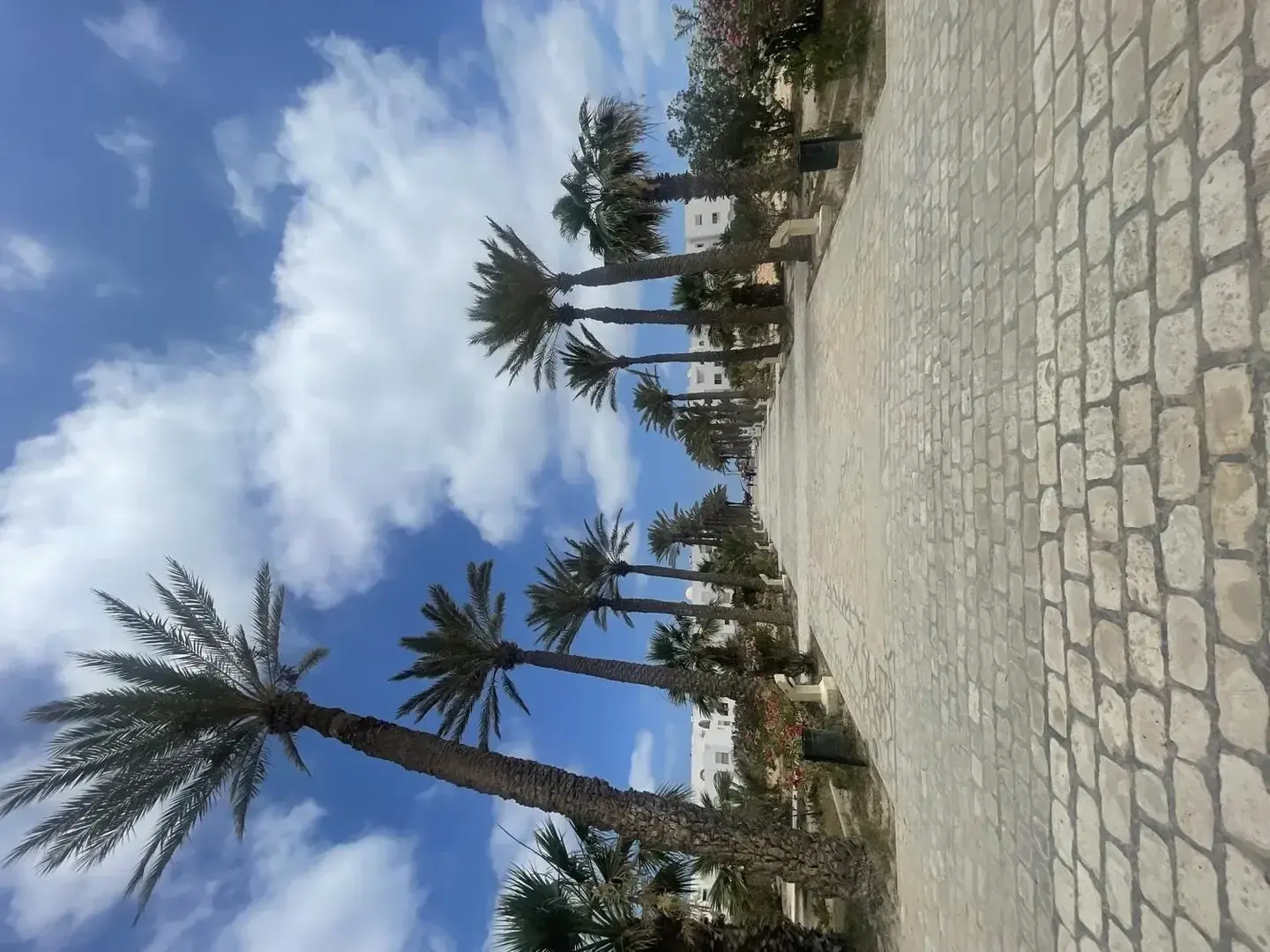 Photo de couverture de Ninoushaa_