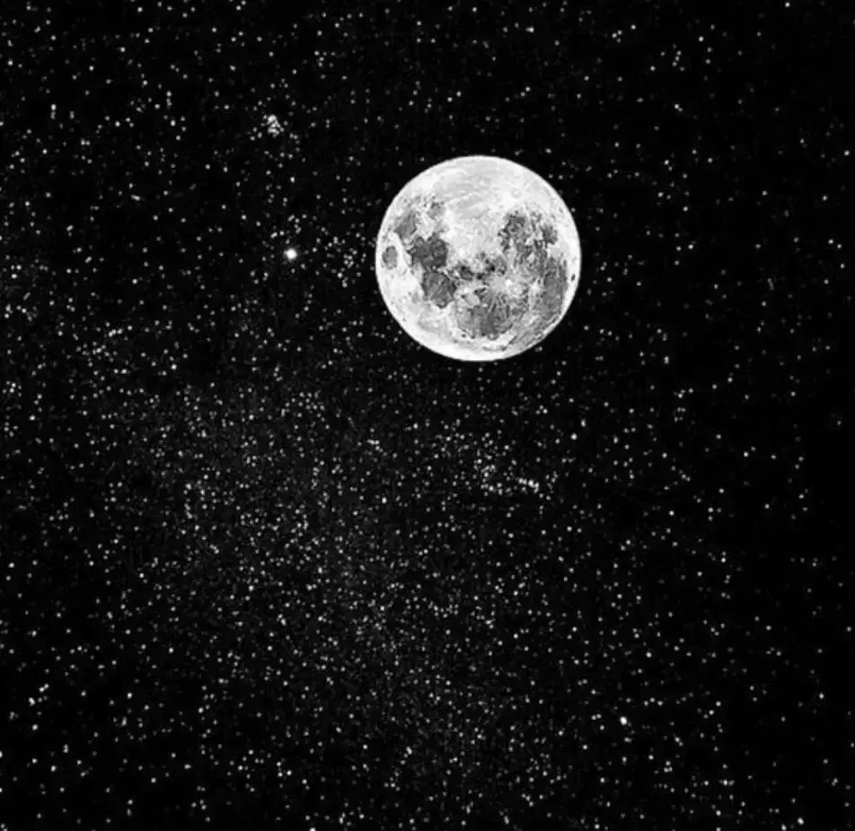 Photo de couverture de Mllestrella
