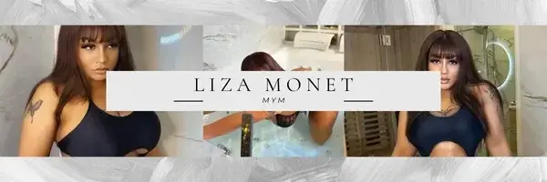 Photo de couverture de Lizamonet