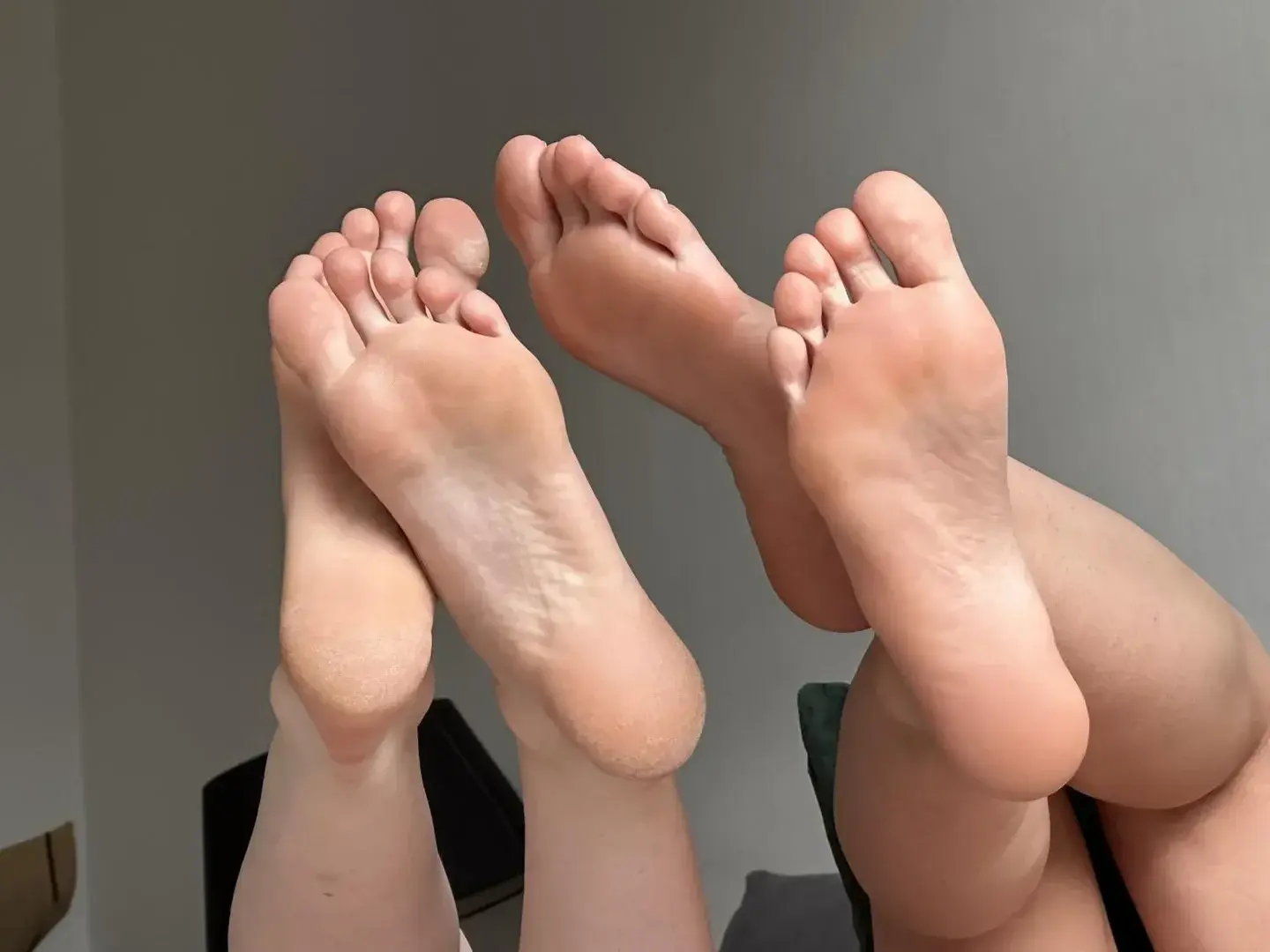 Avatar de 2frenchsisters4feet