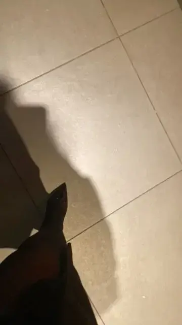 Un dimanche au centre commercial..Sandra soumise :(