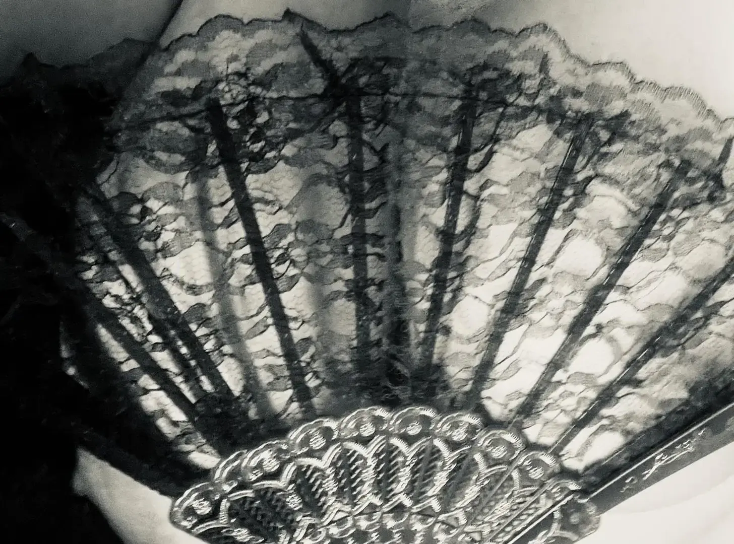 Photo de couverture de Plumes