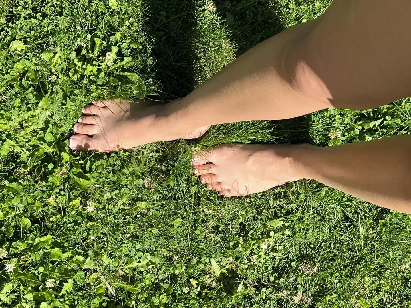 Avatar de frenchypieds