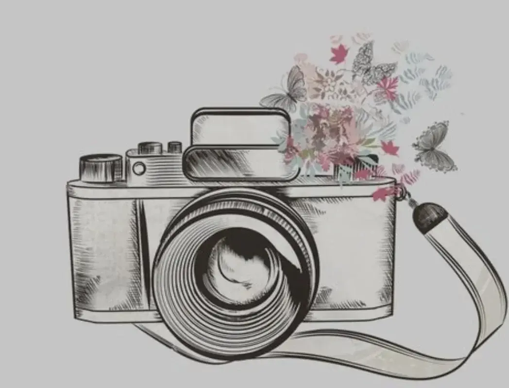 Photo de couverture de Lilirose13