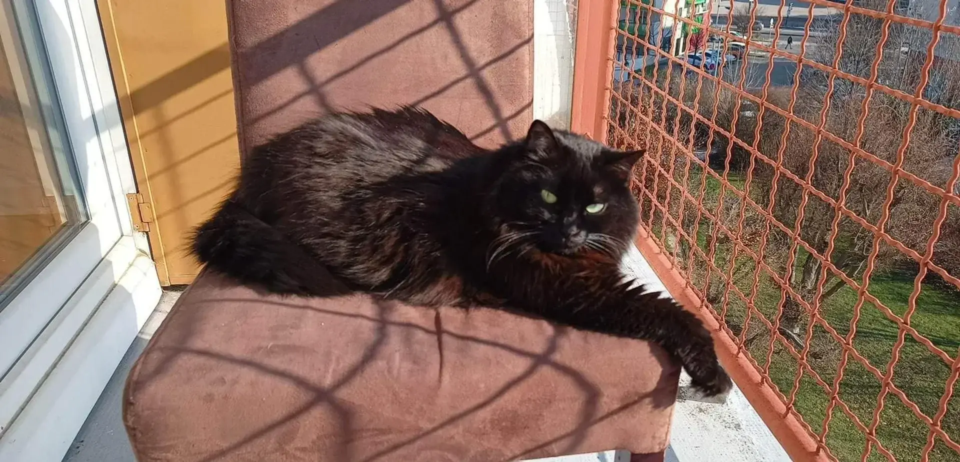 Photo de couverture de Chadeprincessechat