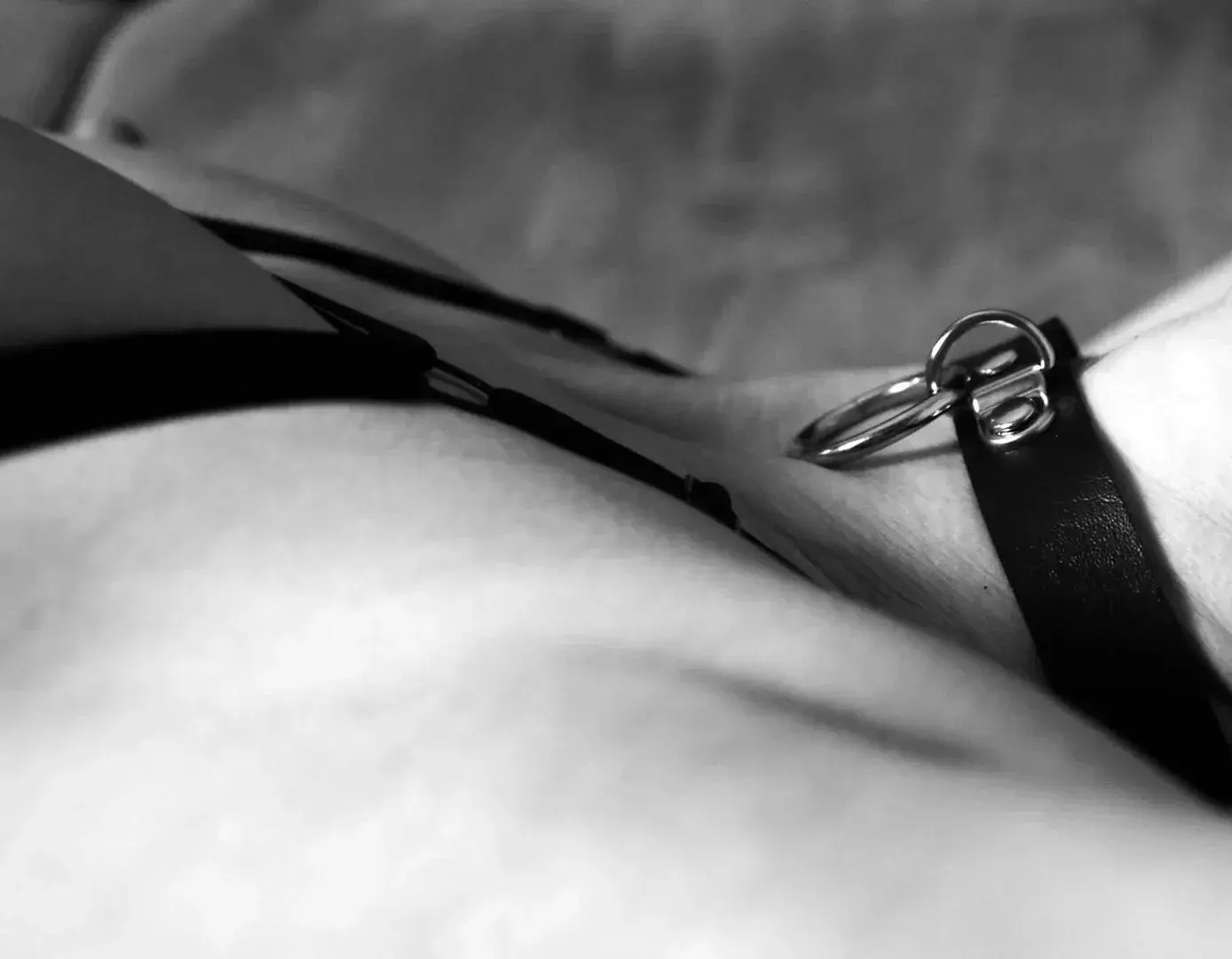 Photo de couverture de Mariecdiem