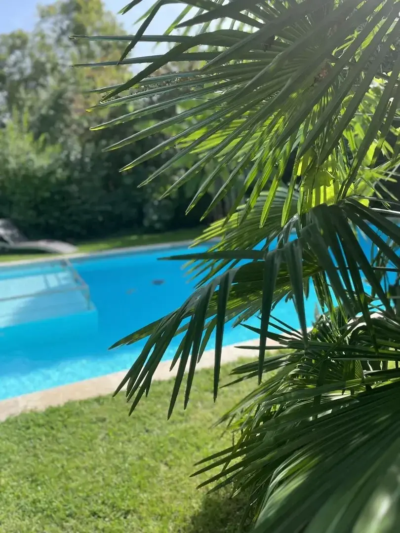 Photo de couverture de Prisca-pro-gironde