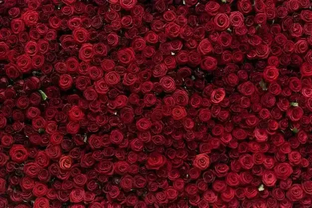 Photo de couverture de Happygirly_