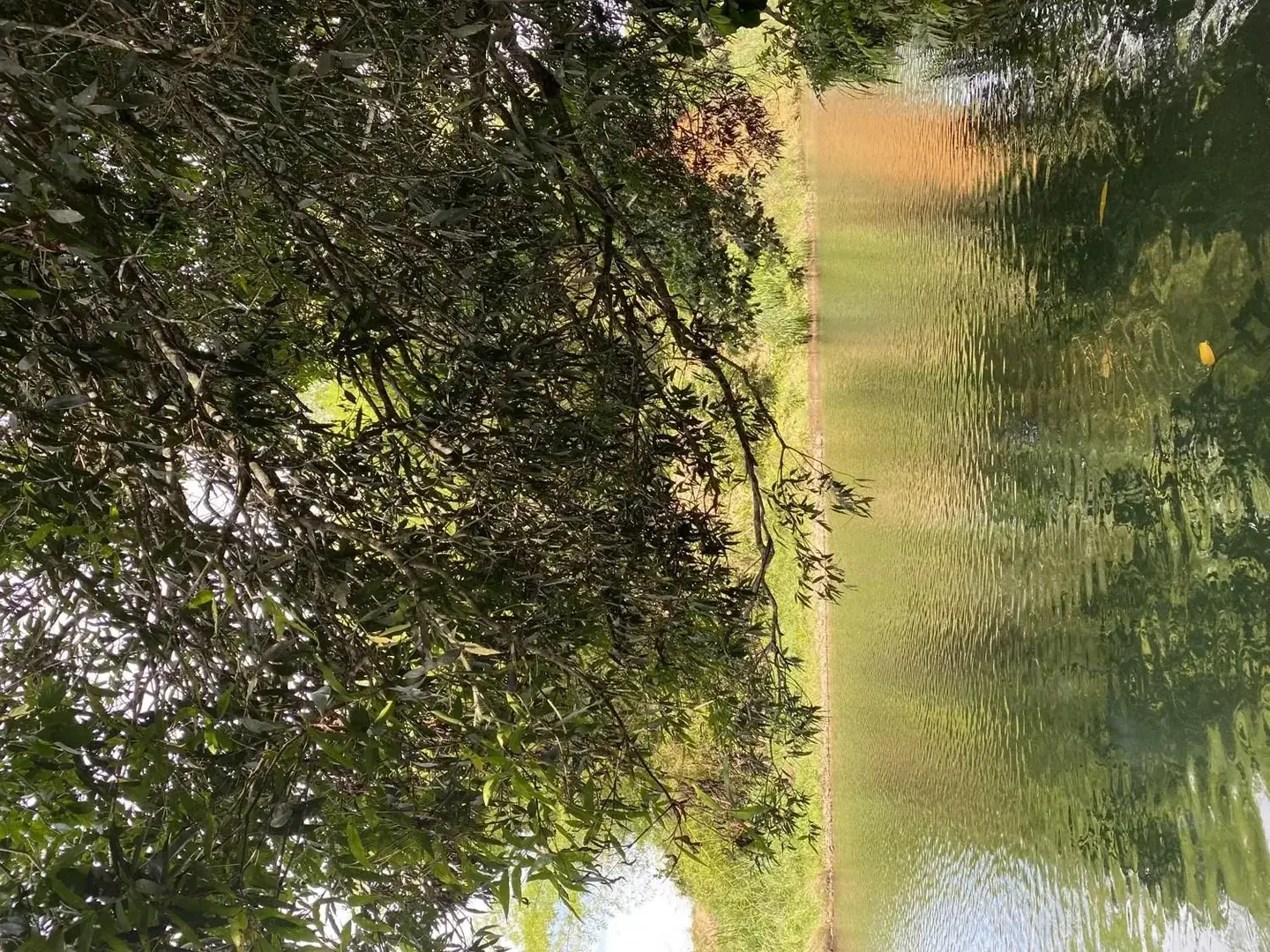 Photo de couverture de Plaisirscharnels