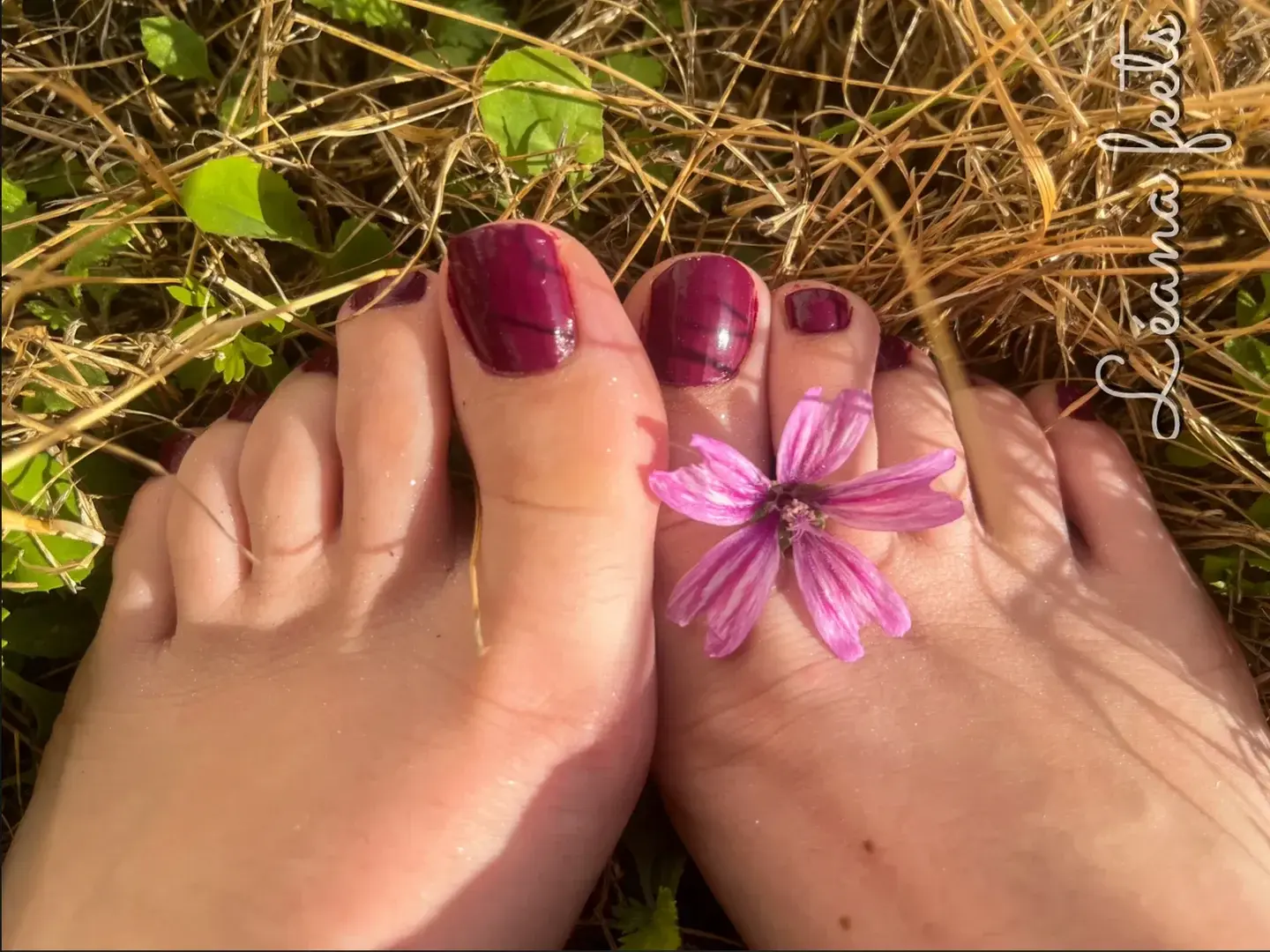 Photo de couverture de Leanafeets