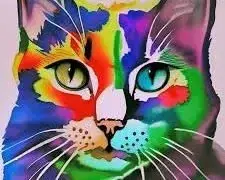 Avatar de Lkity_photo