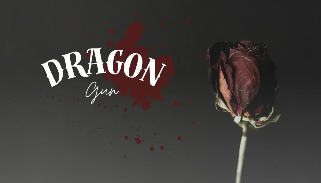 Photo de couverture de Dragongun