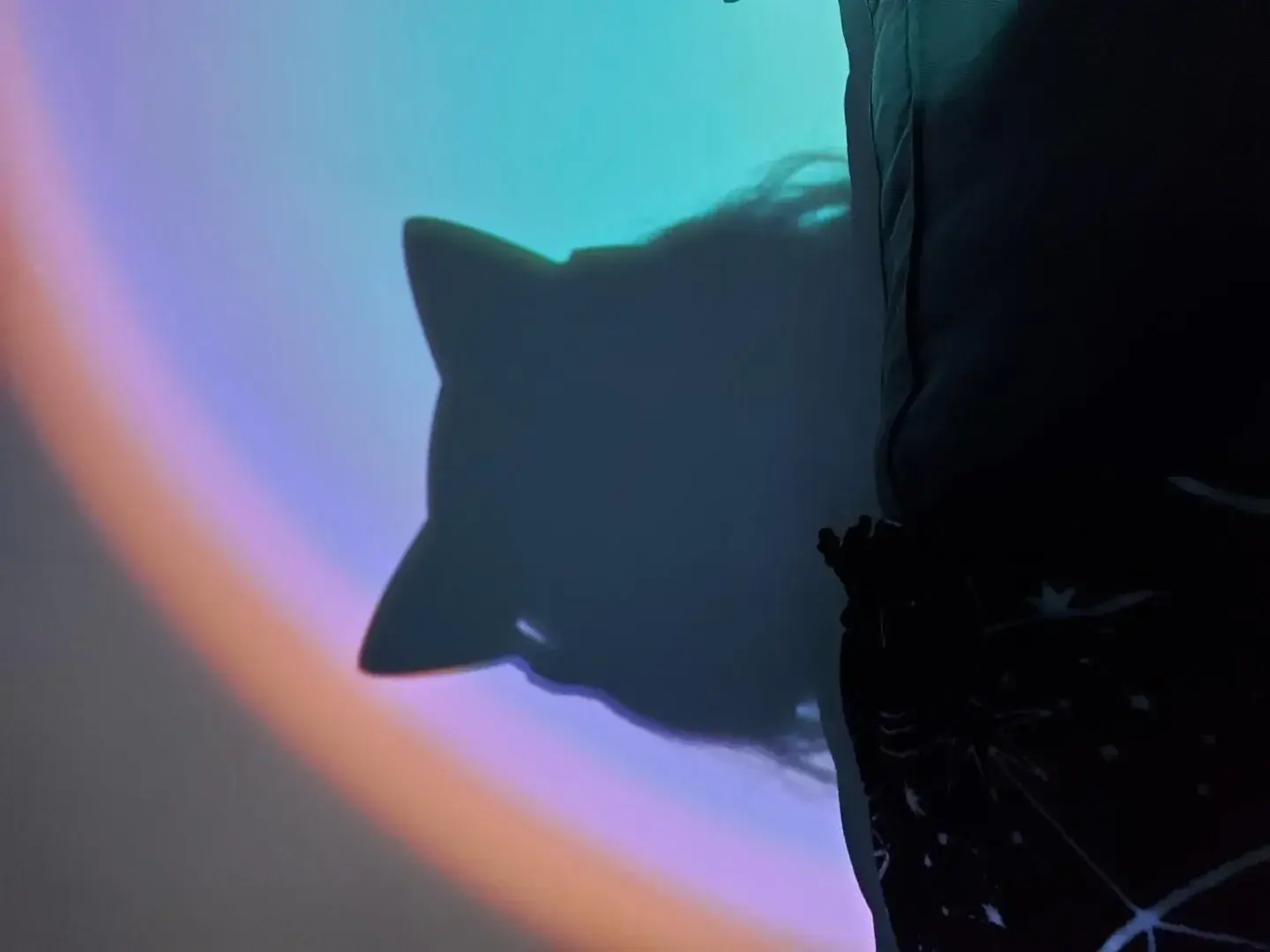 Photo de couverture de Tsuki-chan