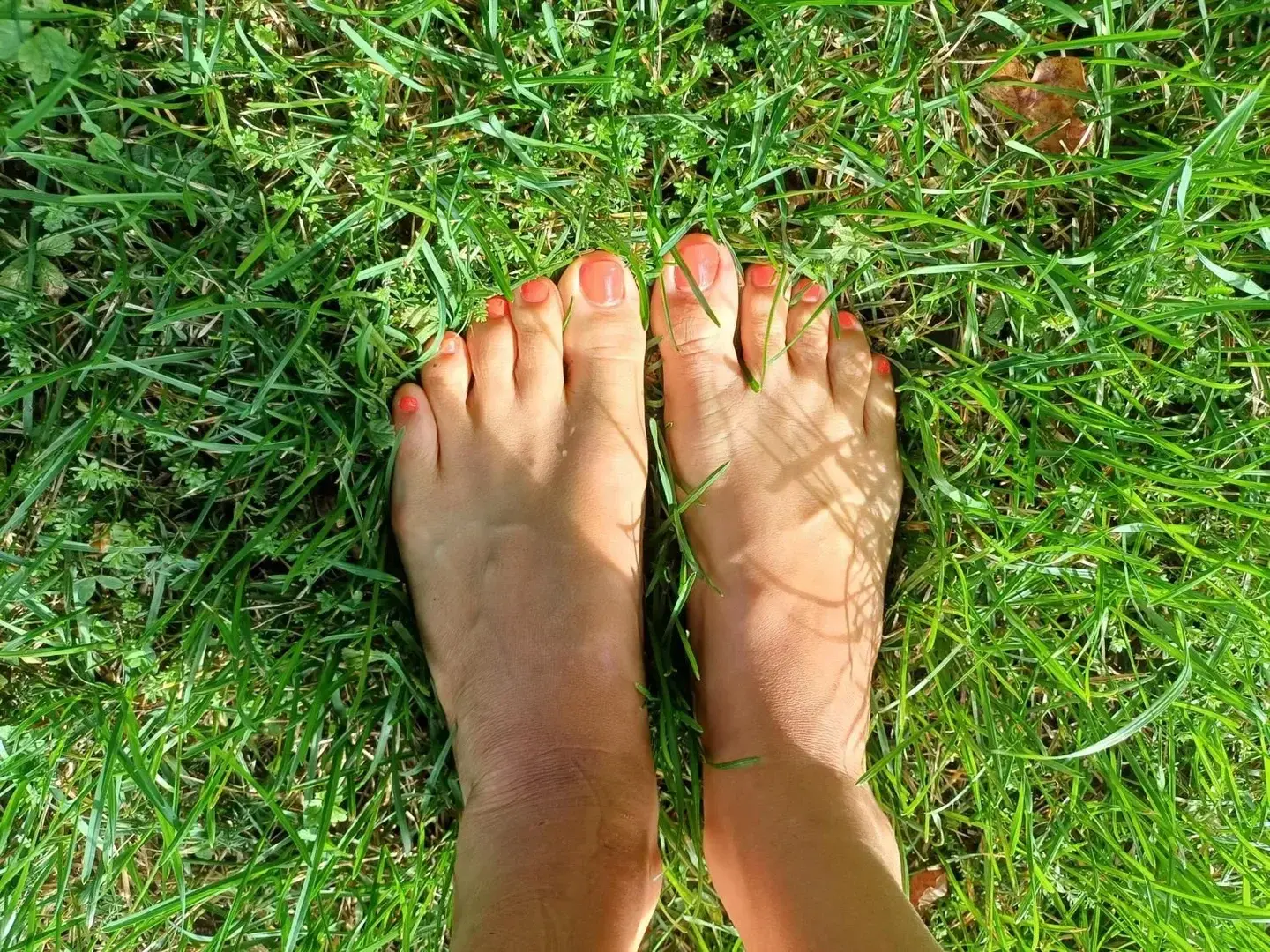 Photo de couverture de _aria_feet