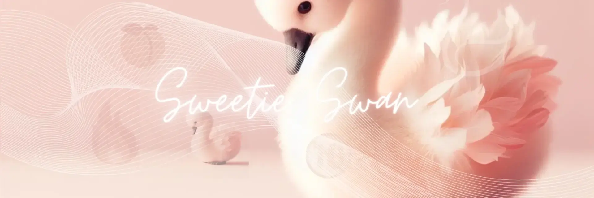 Photo de couverture de Sweetie_swan