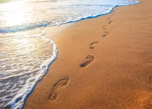Photo de couverture de Photos_pieds_nus_