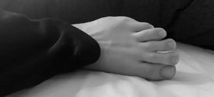 Photo de couverture de Jeunepiedspalmes