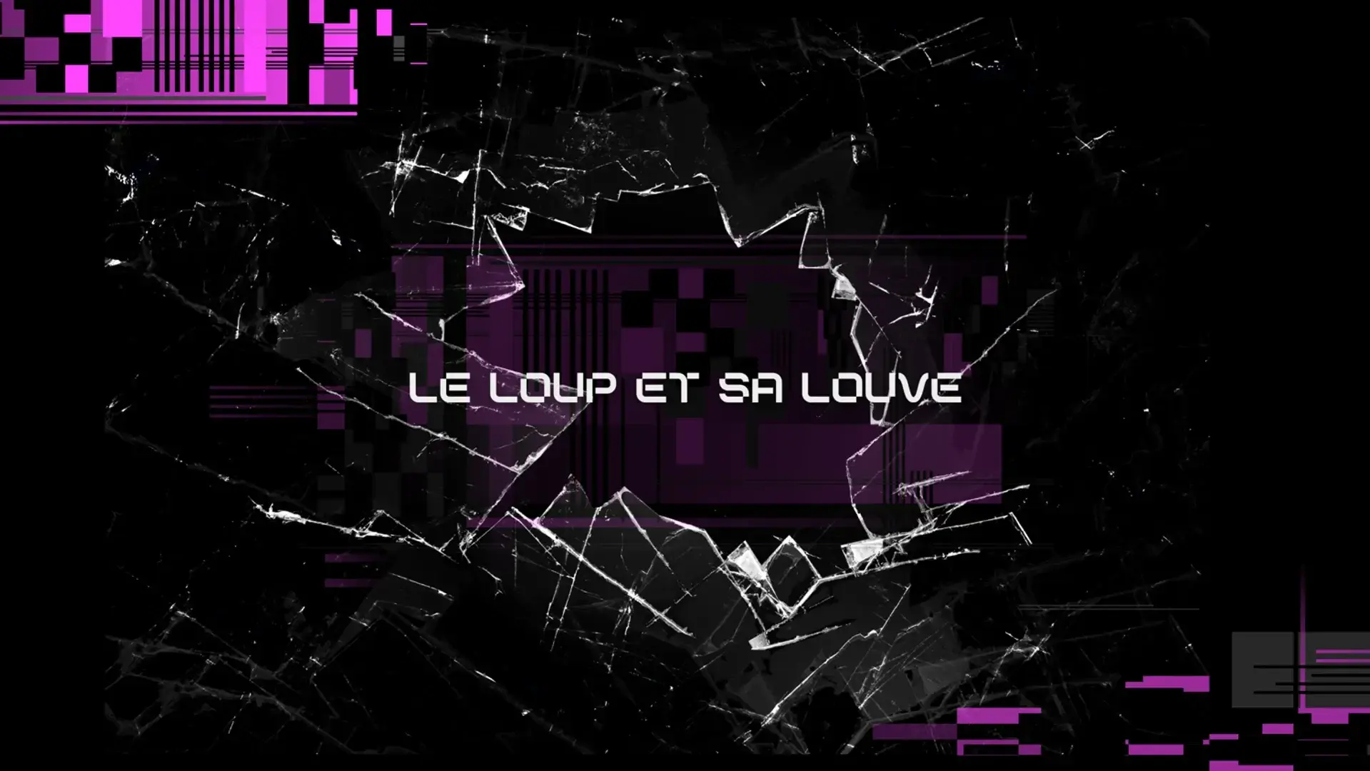 Photo de couverture de leloupetsalouve