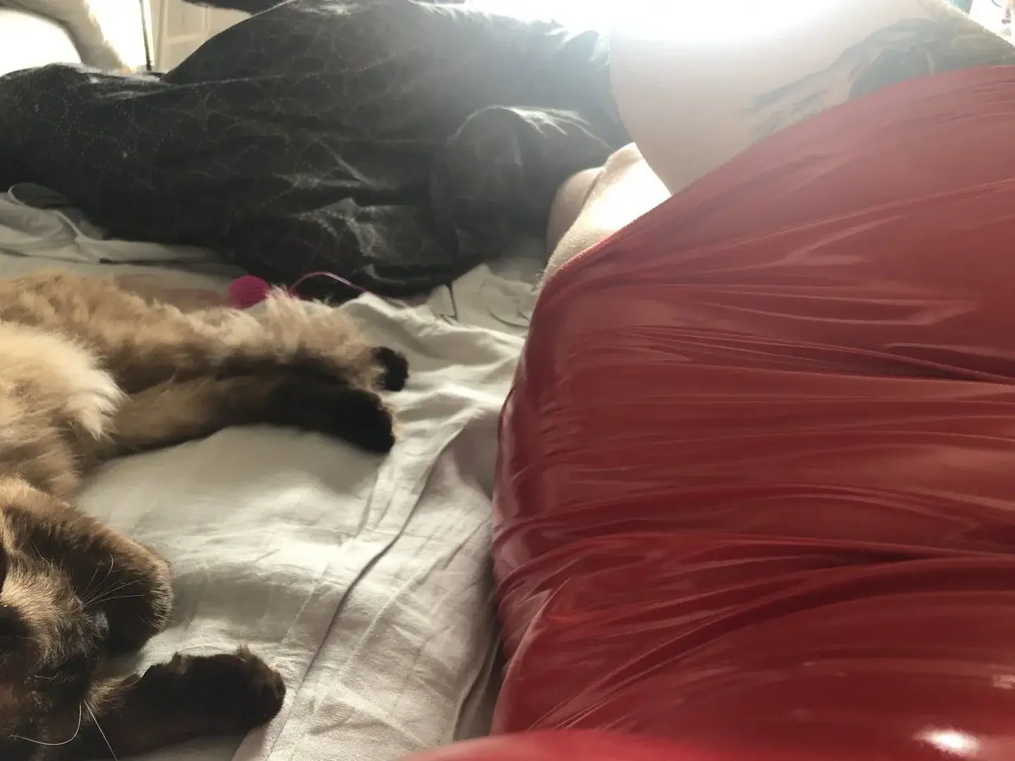Leak & nude 1 — Nyxia66