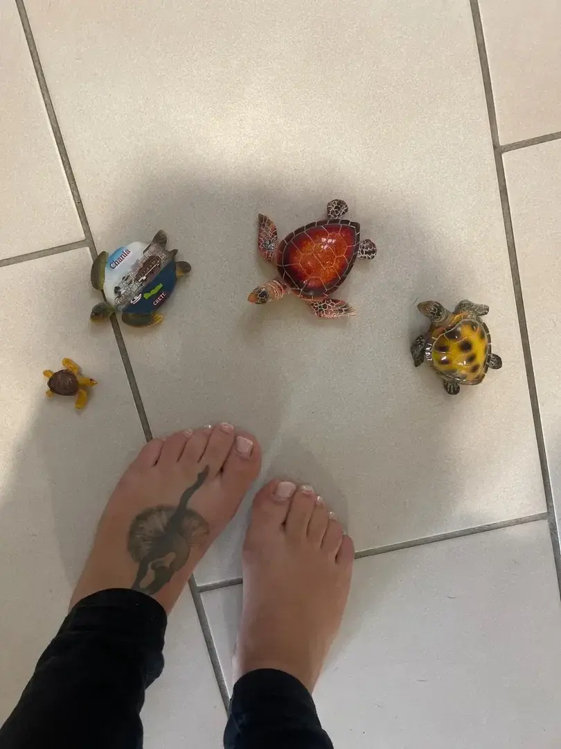 Une vraie passion pour les tortuesN’hésite pas à me contacter pour des demandes personnelle je serais ravie de te faire plaisir#cadeau #pied #tortue #feetgirl  #piedssexy
