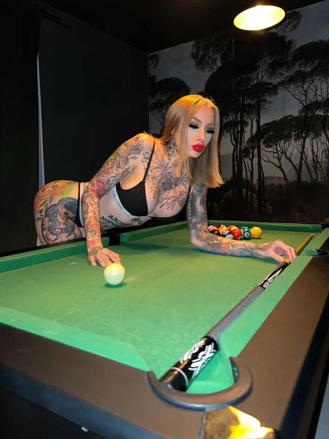 À venir : vidéo striptease sur le billard 🙄😻