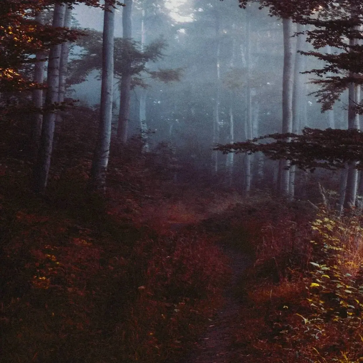 Photo de couverture de Bathory