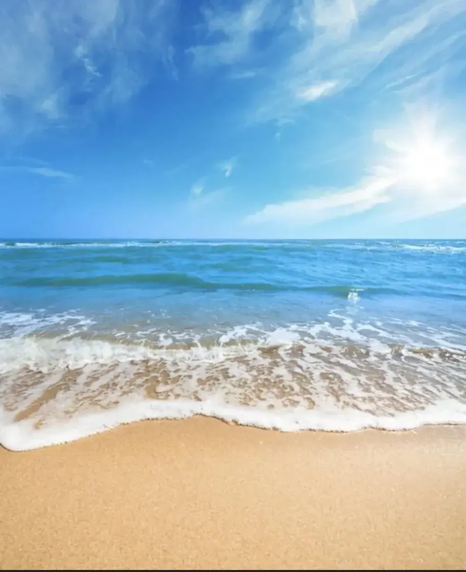 Photo de couverture de Manon_rt