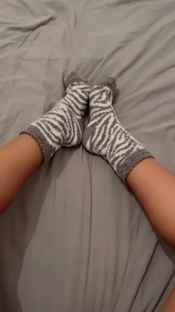Zebra vibes