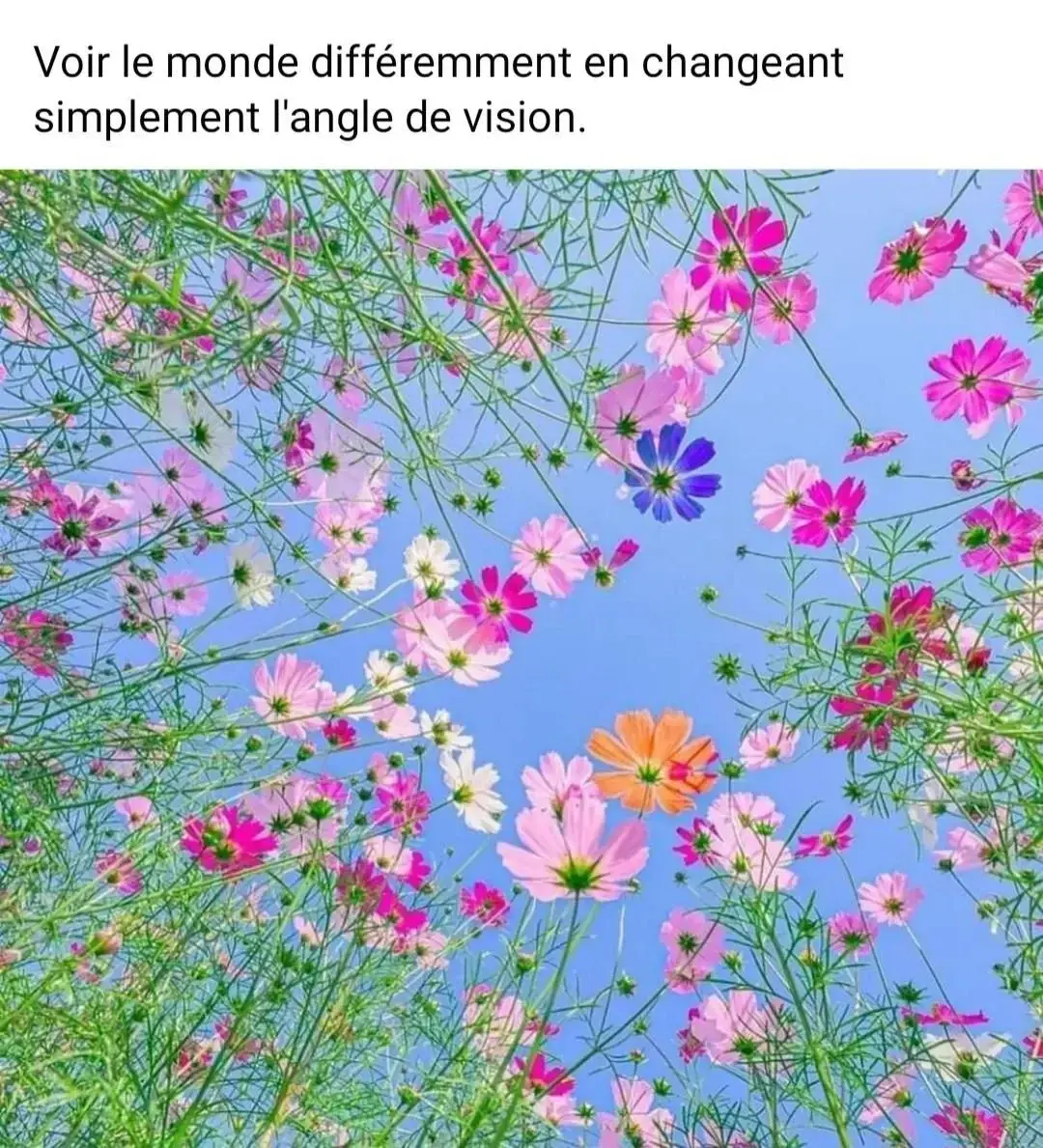 Photo de couverture de Lina_lou4