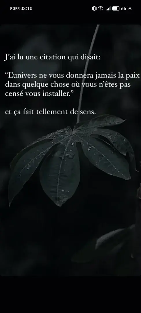 Photo de couverture de Joh_pics_dreams
