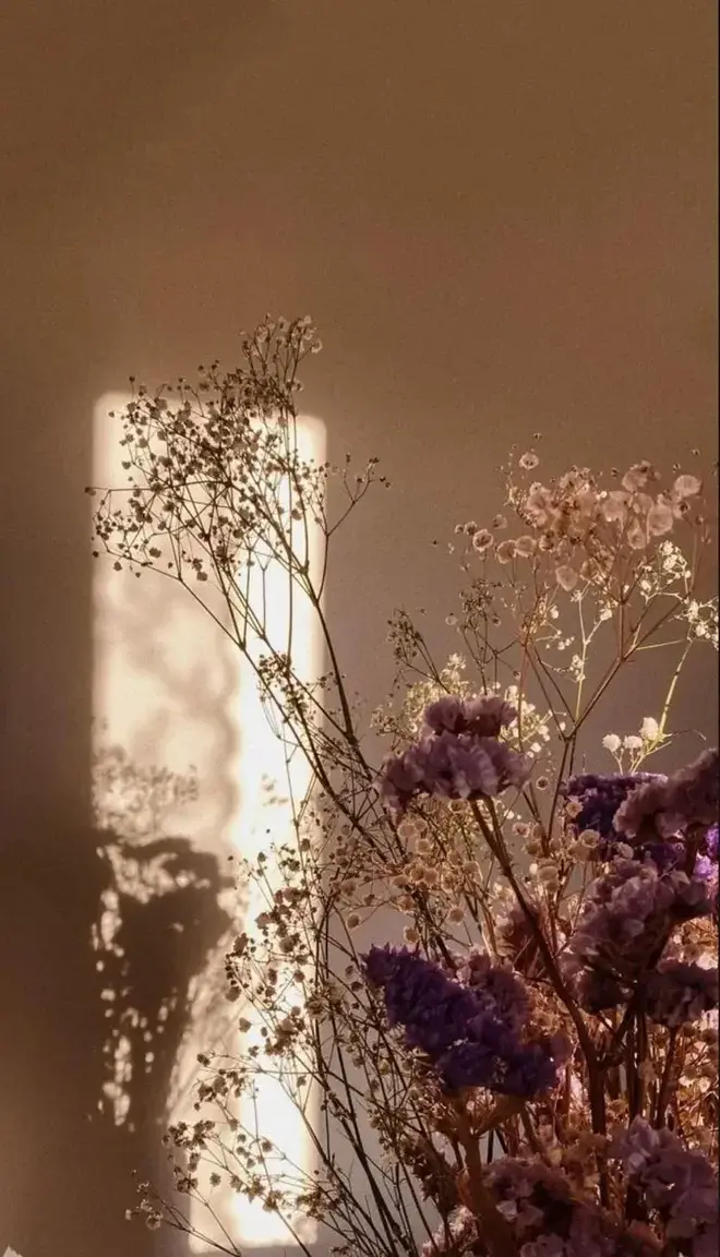 Photo de couverture de lespiedsdamandine