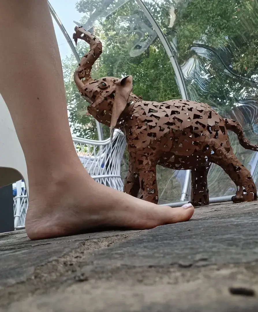 Avatar de Lea255_pieds_feetlovers