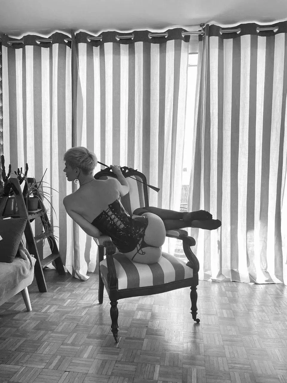 Photo de couverture de Domina_artemis