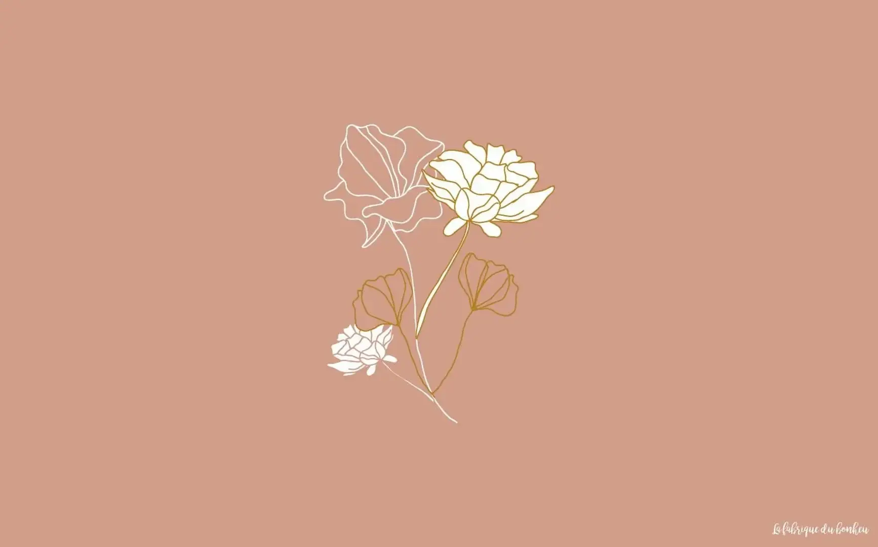 Photo de couverture de suunflowerr