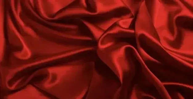 Photo de couverture de Bodysexy
