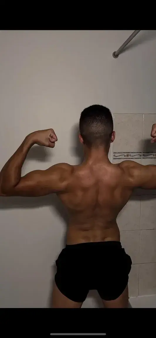 Qui dispo pour me griffer ?🐅🐅