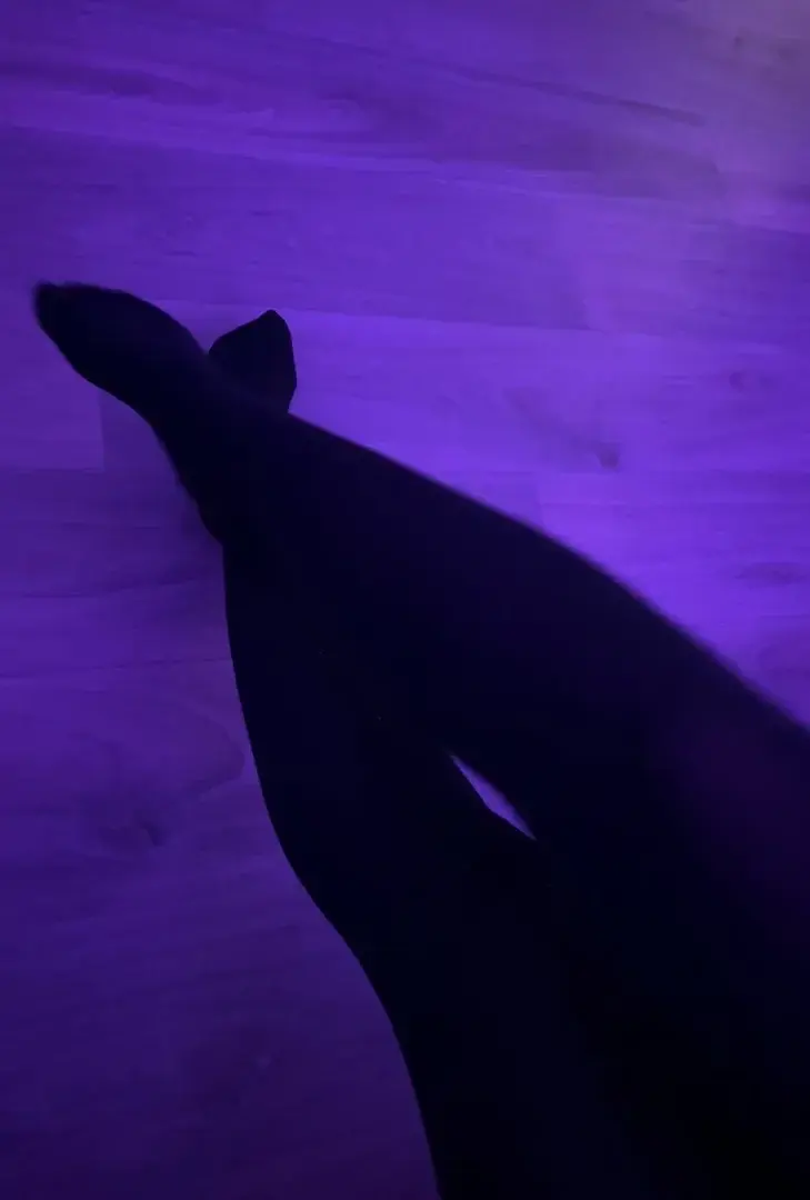 Leak & nude 2 — feetpoland
