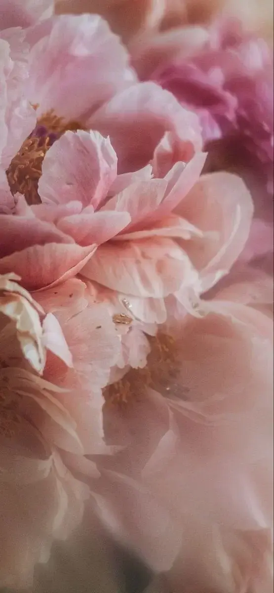 Photo de couverture de L_una