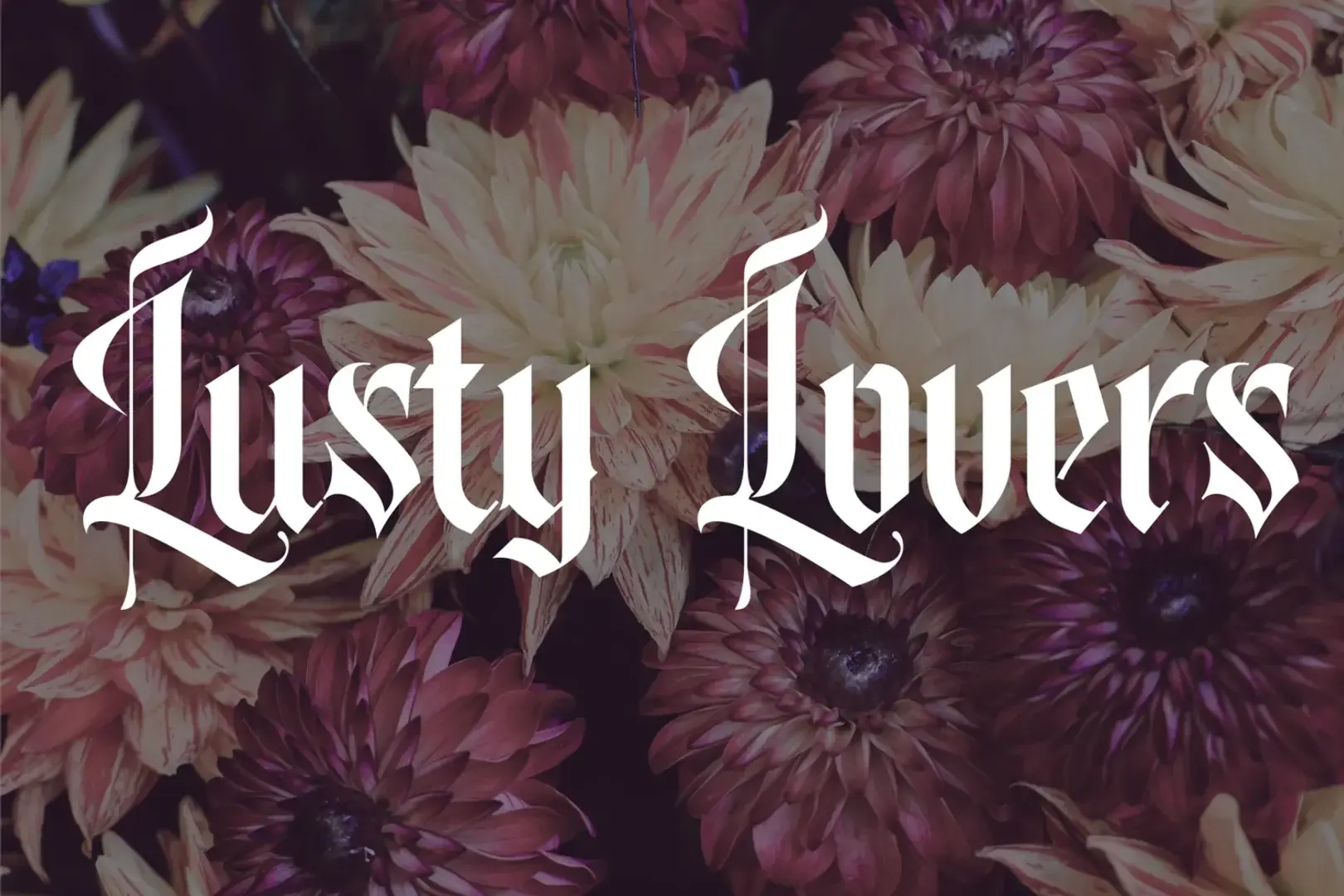 Photo de couverture de Lustylovers