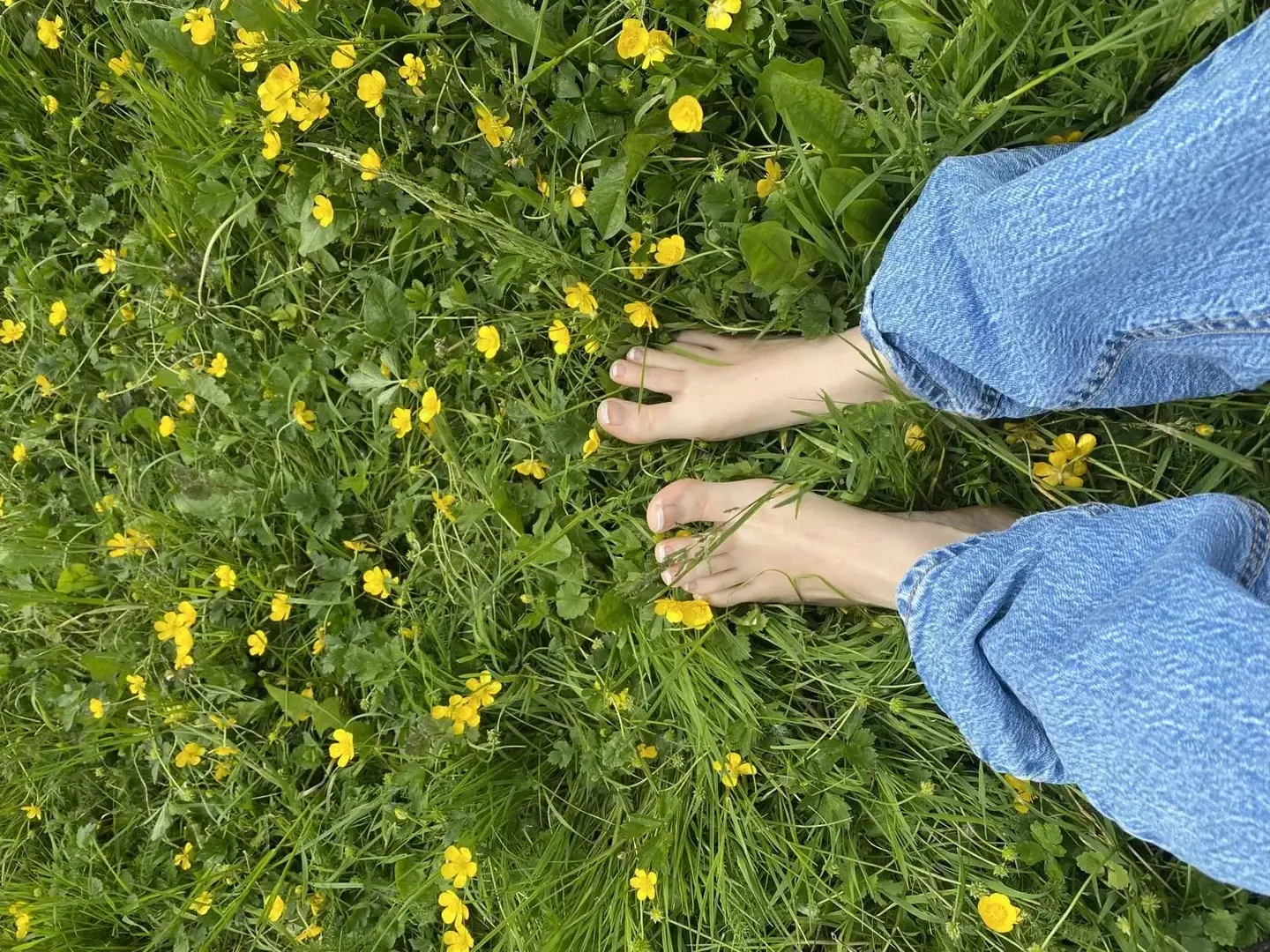 Photo de couverture de Delphinesfeet