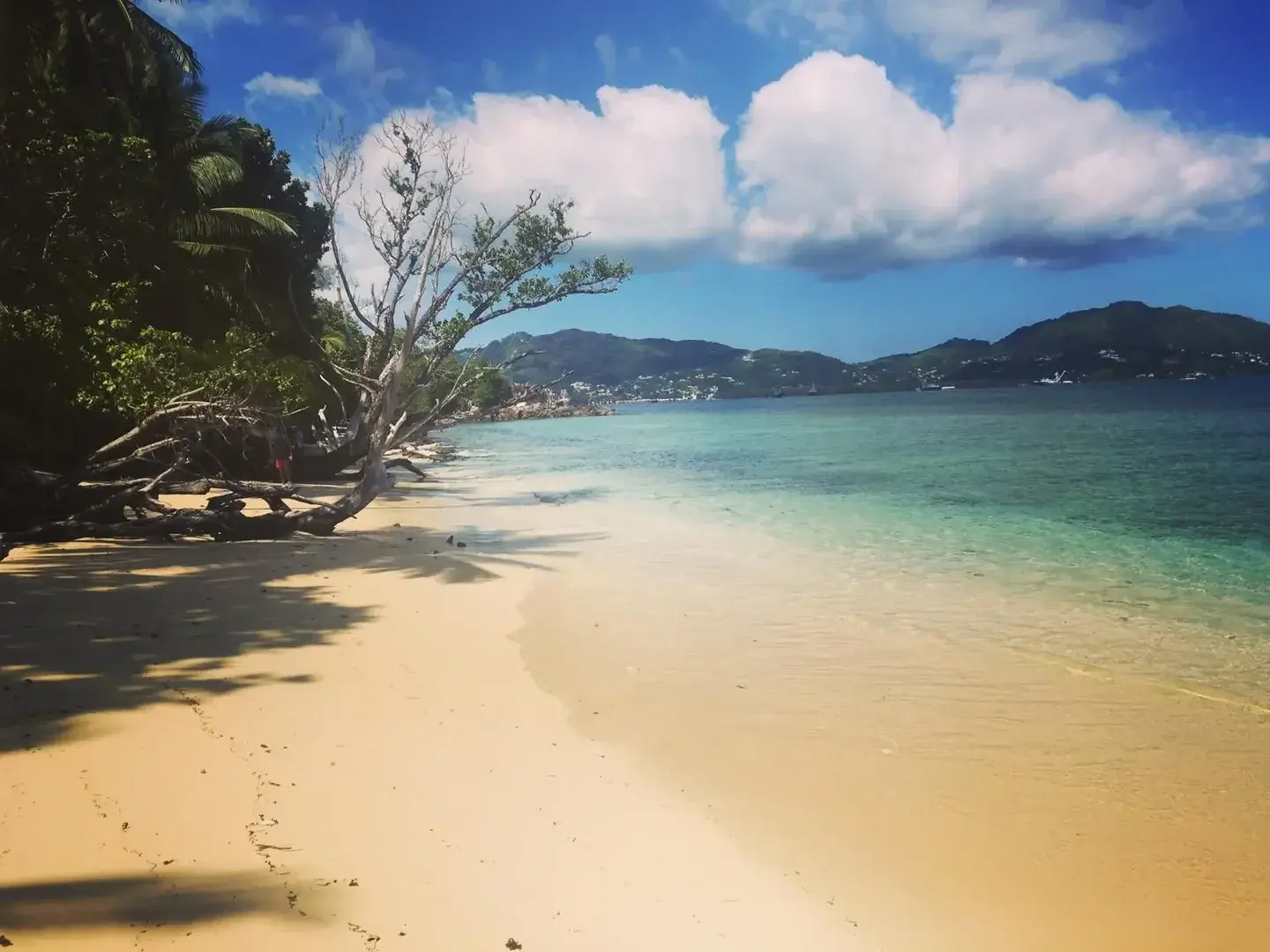 Photo de couverture de Mialana9