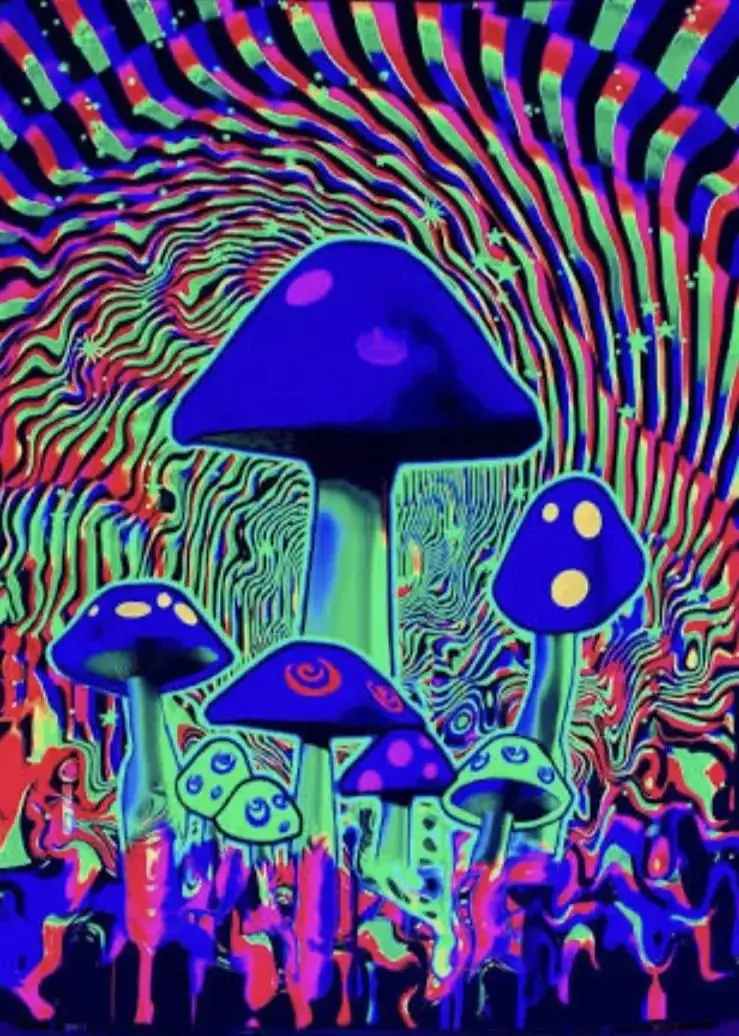 Photo de couverture de Mysteriousmae